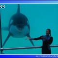Marineland - Orques - Spectacle - 15h00 - 0148