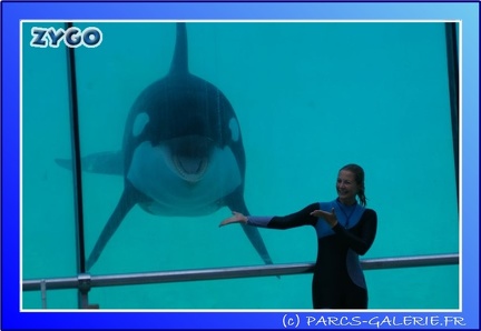 Marineland - Orques - Spectacle - 15h00 - 0148