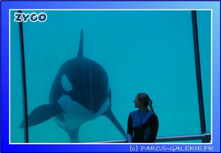 Marineland - Orques - Spectacle - 15h00 - 0149