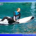 Marineland - Orques - Spectacle - 15h00 - 0150