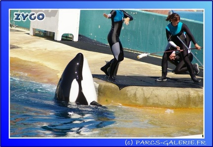Marineland - Orques - Spectacle - 15h00 - 0151