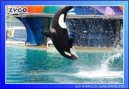 Marineland - Orques - Spectacle - 15h00 - 0152