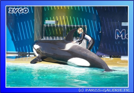 Marineland - Orques - Spectacle - 15h00 - 0153