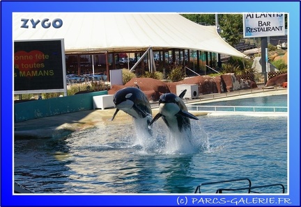 Marineland - Orques - Spectacle - 15h00 - 0154