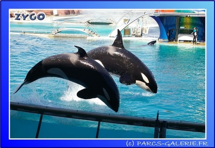 Marineland - Orques - Spectacle - 15h00 - 0155