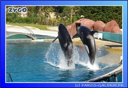 Marineland - Orques - Spectacle - 15h00 - 0156