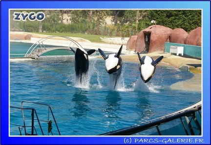 Marineland - Orques - Spectacle - 15h00 - 0157