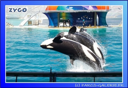 Marineland - Orques - Spectacle - 15h00 - 0158