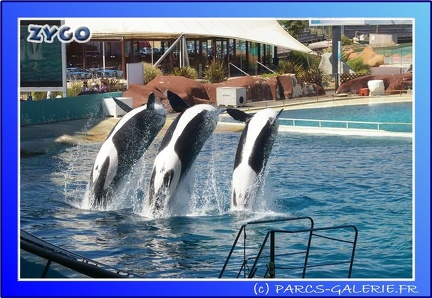 Marineland - Orques - Spectacle - 15h00 - 0159