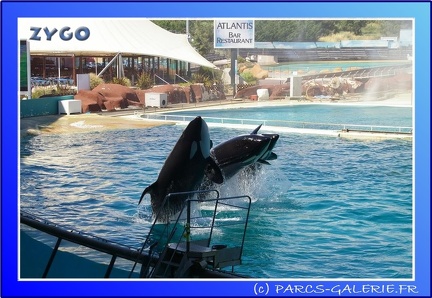 Marineland - Orques - Spectacle - 15h00 - 0160