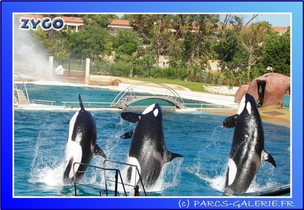 Marineland - Orques - Spectacle - 15h00 - 0161
