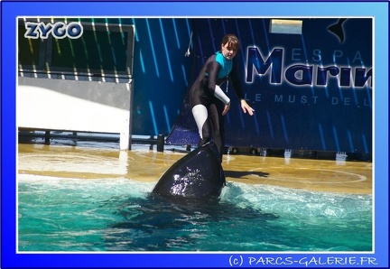 Marineland - Orques - Spectacle - 15h00 - 0162
