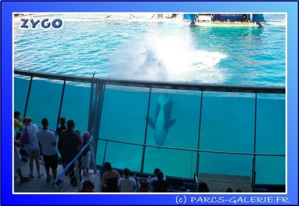 Marineland - Orques - Spectacle - 15h00 - 0165
