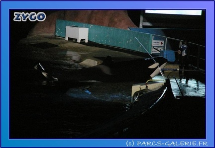 Marineland - Orques - Spectacle noctune - Imagine - 0382
