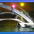 Marineland - Orques - Spectacle noctune - Imagine - 0390