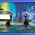 Marineland - Orques - Spectacle noctune - Imagine - 0391