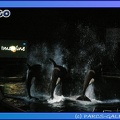 Marineland - Orques - Spectacle noctune - Imagine - 0420