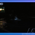 Marineland - Orques - Spectacle noctune - Imagine - 0422