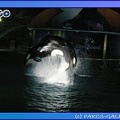 Marineland - Orques - Spectacle noctune - Imagine - 0423