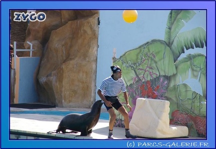 Marineland - Otaries - Spectacle des Pirates - 0435