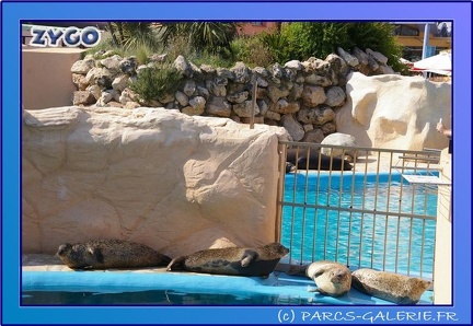 Marineland - Phoques - Portraits - 0438