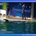 Marineland - Orques - Apprentissage - 0518