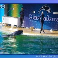 Marineland - Orques - Apprentissage - 0519