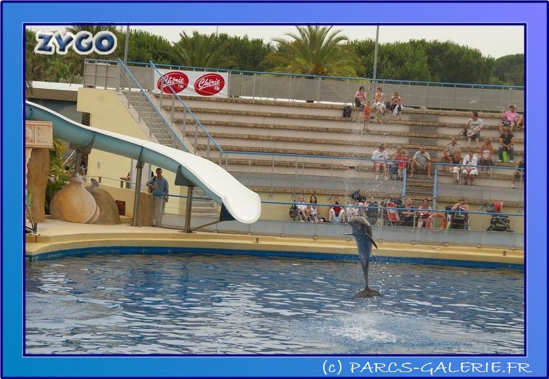 Marineland - Dauphins - Spectacle 17h45 - 0654