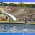 Marineland - Dauphins - Spectacle 17h45 - 0654