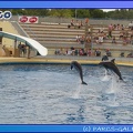 Marineland - Dauphins - Spectacle 17h45 - 0656