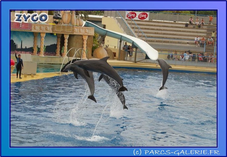 Marineland - Dauphins - Spectacle 17h45 - 0657