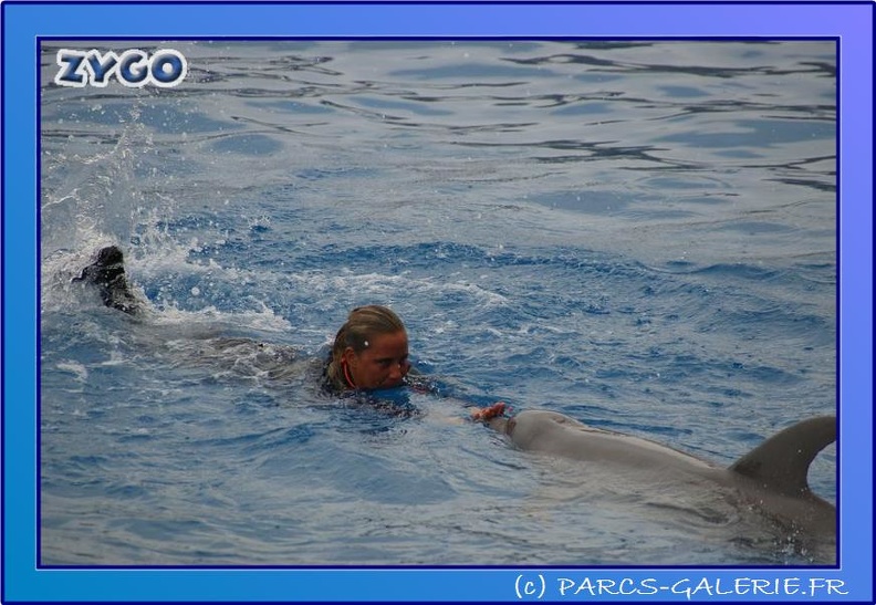 Marineland - Dauphins - Spectacle 17h45 - 0665