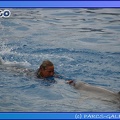 Marineland - Dauphins - Spectacle 17h45 - 0665