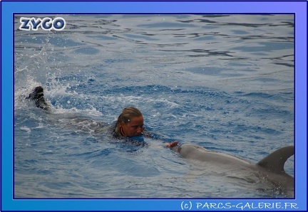 Marineland - Dauphins - Spectacle 17h45 - 0665