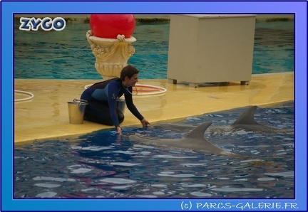Marineland - Dauphins - Spectacle 17h45 - 0666