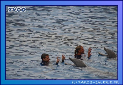 Marineland - Dauphins - Spectacle 17h45 - 0667