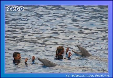 Marineland - Dauphins - Spectacle 17h45 - 0668