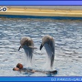 Marineland - Dauphins - Spectacle 17h45 - 0670