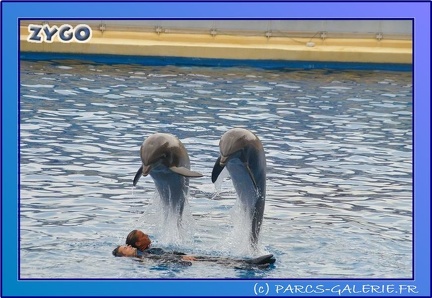 Marineland - Dauphins - Spectacle 17h45 - 0670