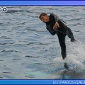 Marineland - Dauphins - Spectacle 17h45 - 0673
