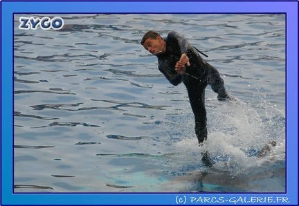 Marineland - Dauphins - Spectacle 17h45 - 0673