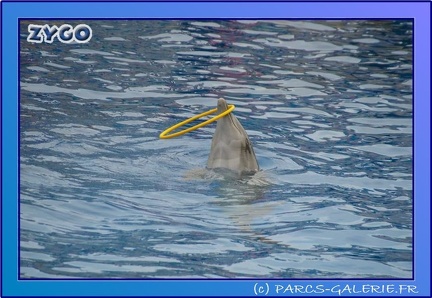 Marineland - Dauphins - Spectacle 17h45 - 0674