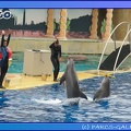 Marineland - Dauphins - Spectacle 17h45 - 0675