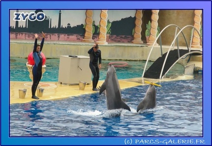 Marineland - Dauphins - Spectacle 17h45 - 0675