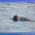 Marineland - Dauphins - Spectacle 17h45 - 0681