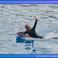 Marineland - Dauphins - Spectacle 17h45 - 0687