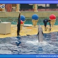 Marineland - Dauphins - Spectacle 17h45 - 0689