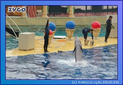 Marineland - Dauphins - Spectacle 17h45 - 0689