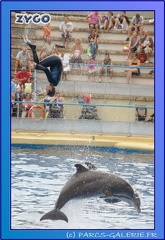 Marineland - Dauphins - Spectacle 17h45 - 0690