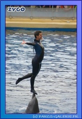 Marineland - Dauphins - Spectacle 17h45 - 0693